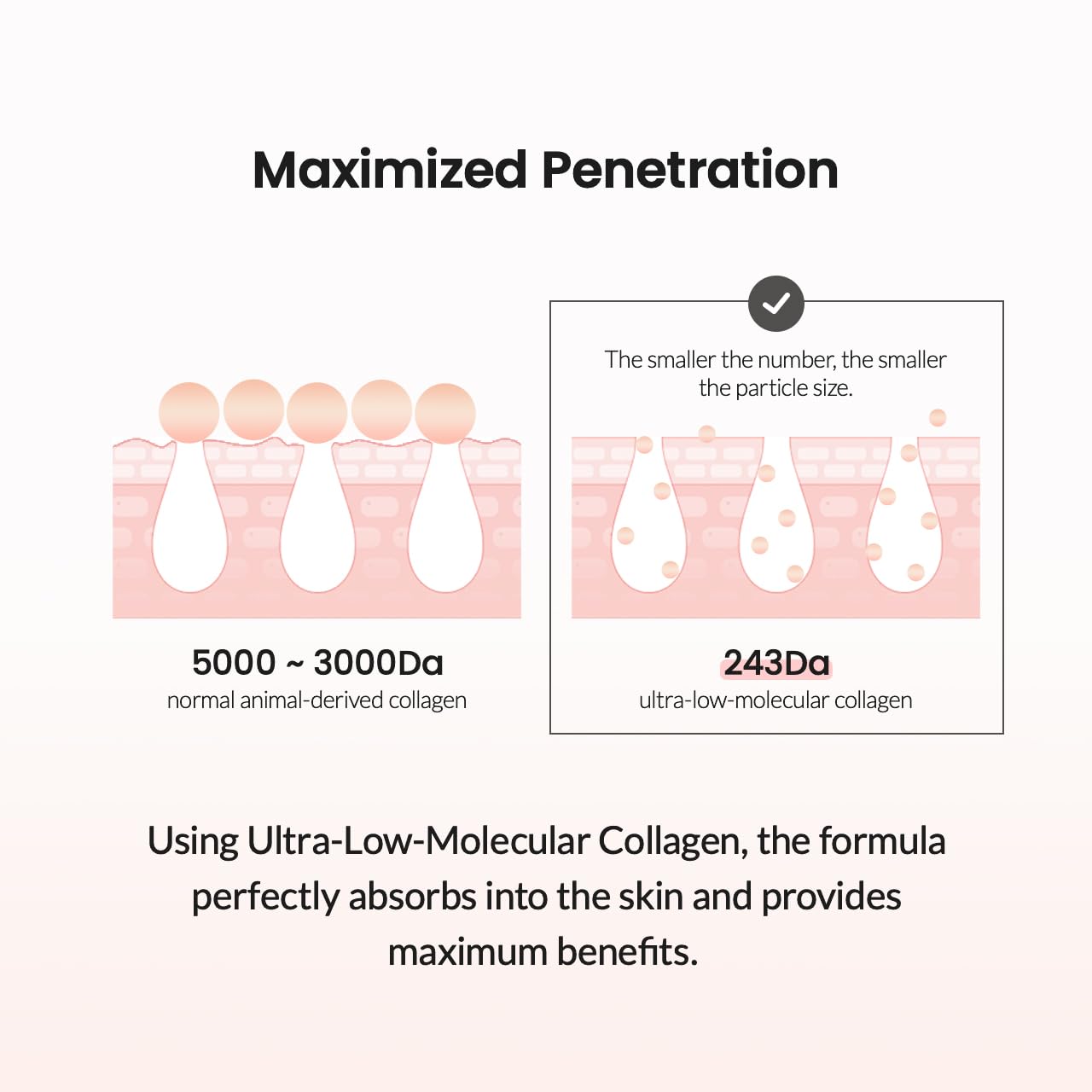 https://buraki.pk/products/biodance-pore-tightening-collagen-cream