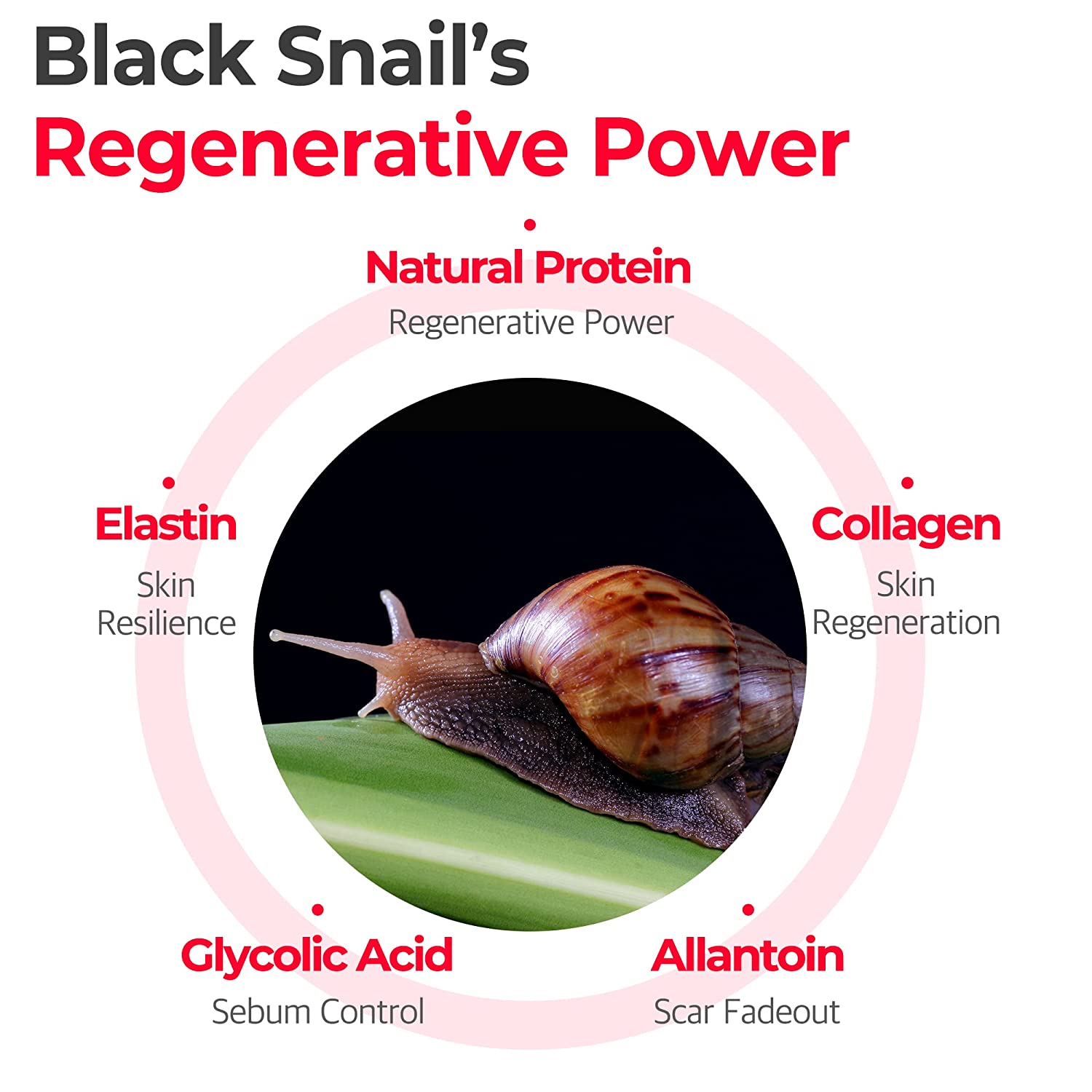 https://buraki.pk/products/some-by-mi-snail-truecica-miracle-repair-low-ph-gel-cleanser