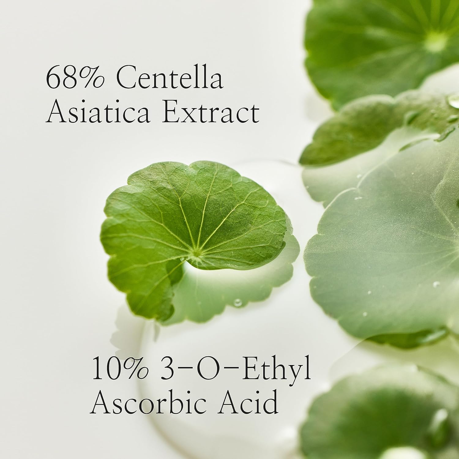 https://buraki.pk/products/beauty-of-joseon-light-on-serum-centella-vita-c