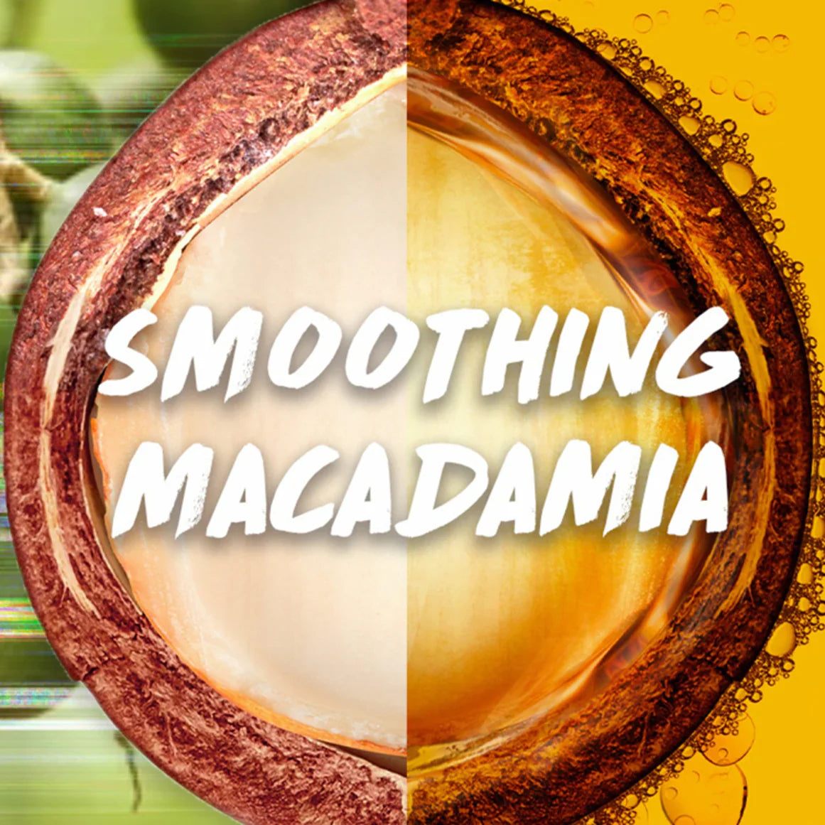 https://buraki.pk/products/garnier-coconut-macadamia-shampoo