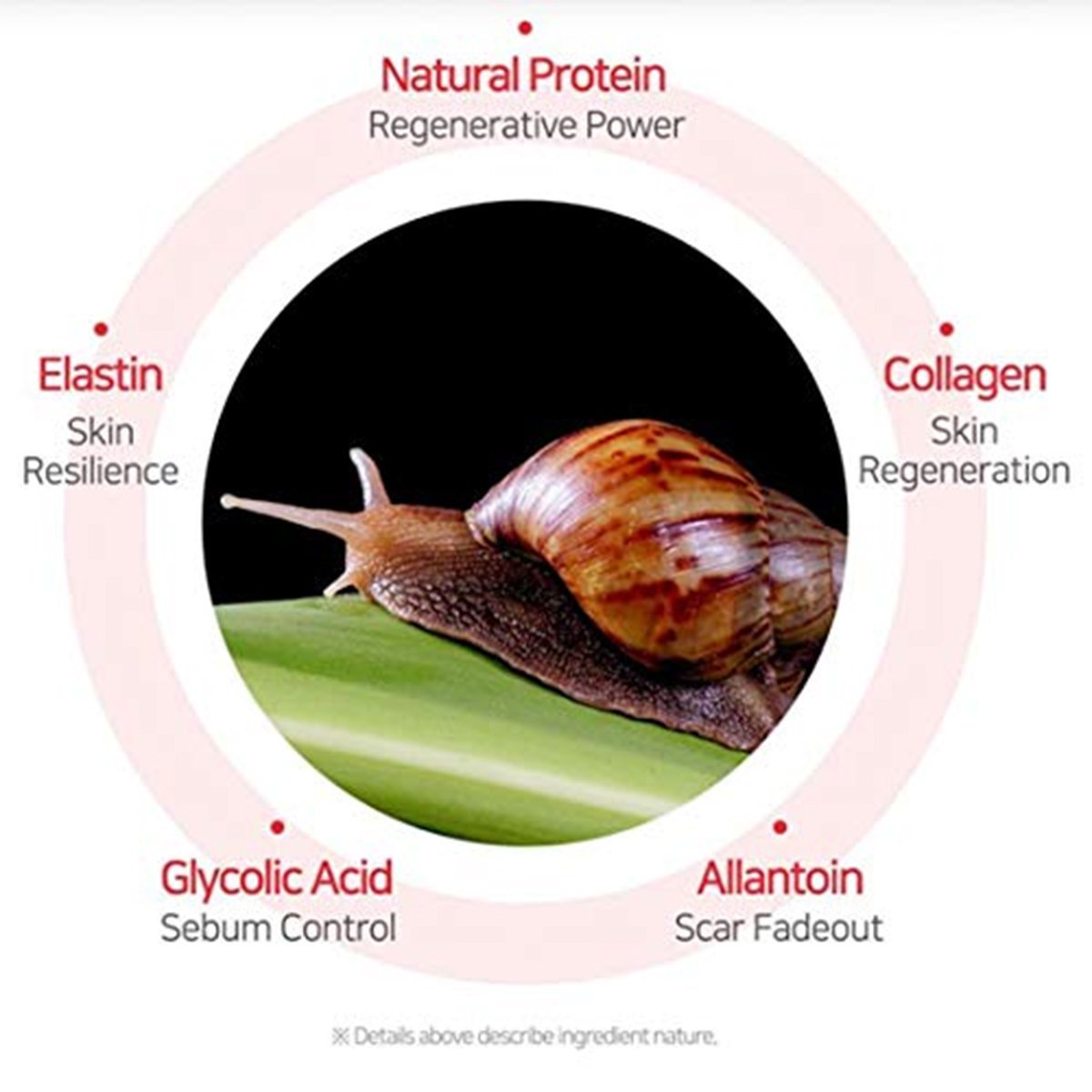 https://buraki.pk/products/some-by-mi-snail-truecica-miracle-repair-serum-2
