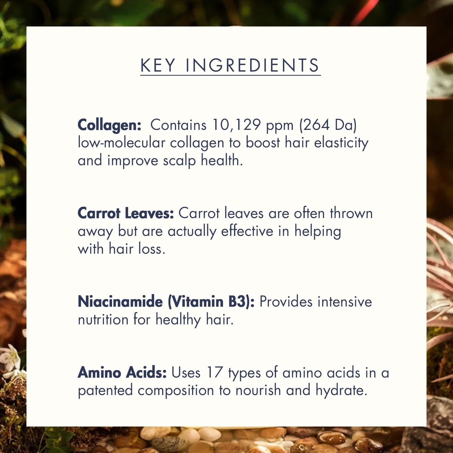 https://buraki.pk/products/treecell-day-collagen-shampoo-morning-of-resort