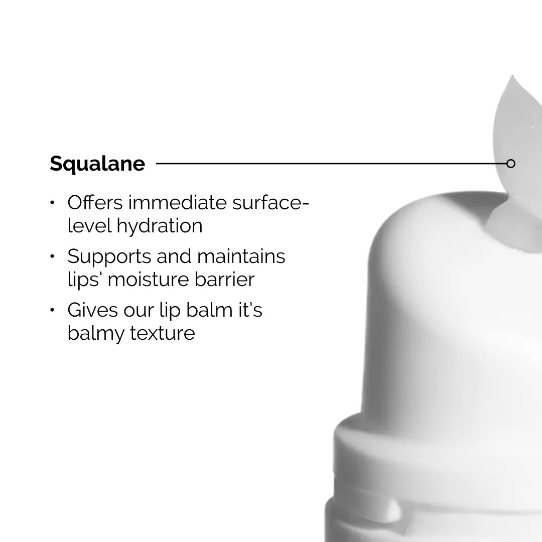 https://buraki.pk/products/the-ordinary-squalane-amino-acids-lip-balm